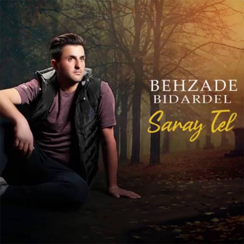 دانلود آهنگ سارای تل بهزاد بیداردل